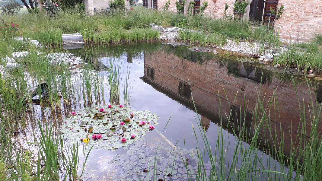 Badeteich in Italien